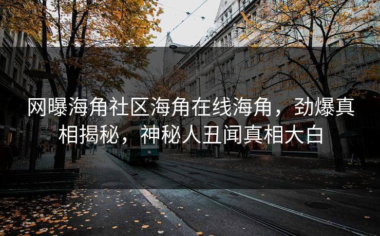 网曝海角社区海角在线海角，劲爆真相揭秘，神秘人丑闻真相大白