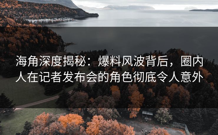 海角深度揭秘：爆料风波背后，圈内人在记者发布会的角色彻底令人意外