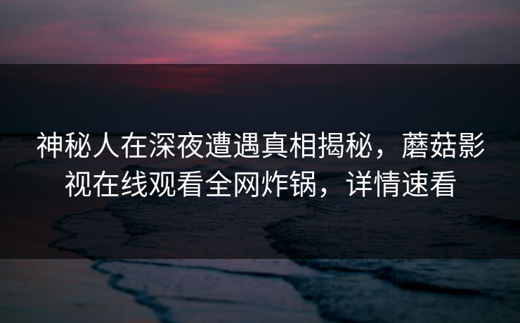 神秘人在深夜遭遇真相揭秘，蘑菇影视在线观看全网炸锅，详情速看